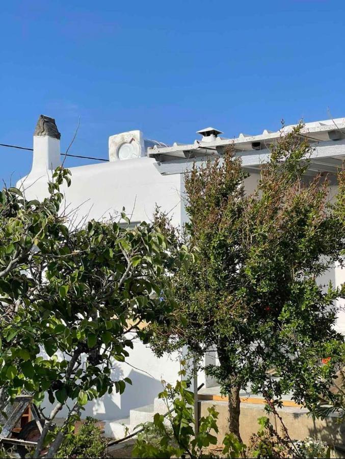 Apartament Alesta Mykonos Town Zewnętrze zdjęcie